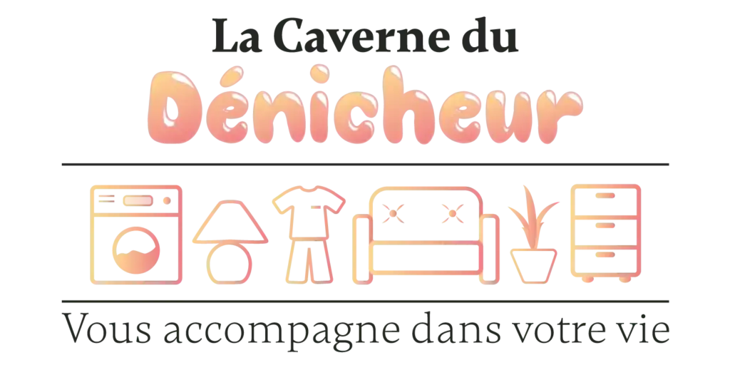 Logo officiel de La Caverne du Dénicheur, dépôt-vente à Saint Michel en Charente