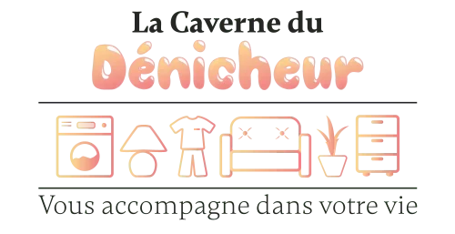 Logo officiel de La Caverne du Dénicheur, dépôt-vente à Saint Michel en Charente